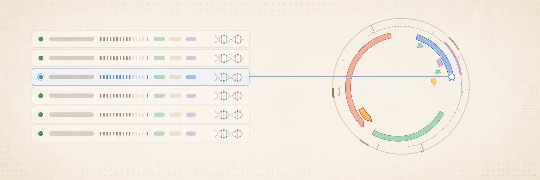 Ranked guide-candidate rows on the left connect via a thin line to the exact active position on a plasmid map.