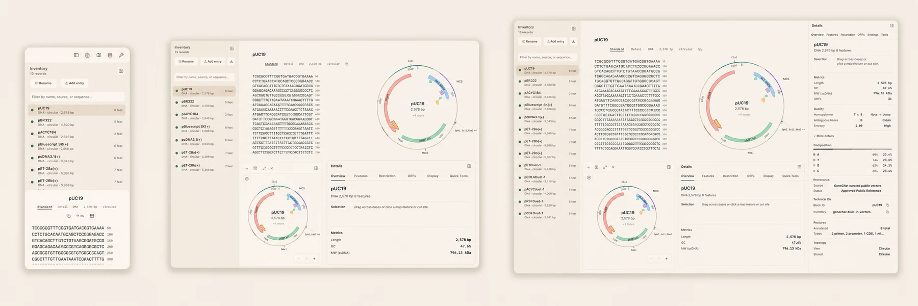 Three product frames from compact portrait to wide panoramic workspace, showing the same record adapting.
