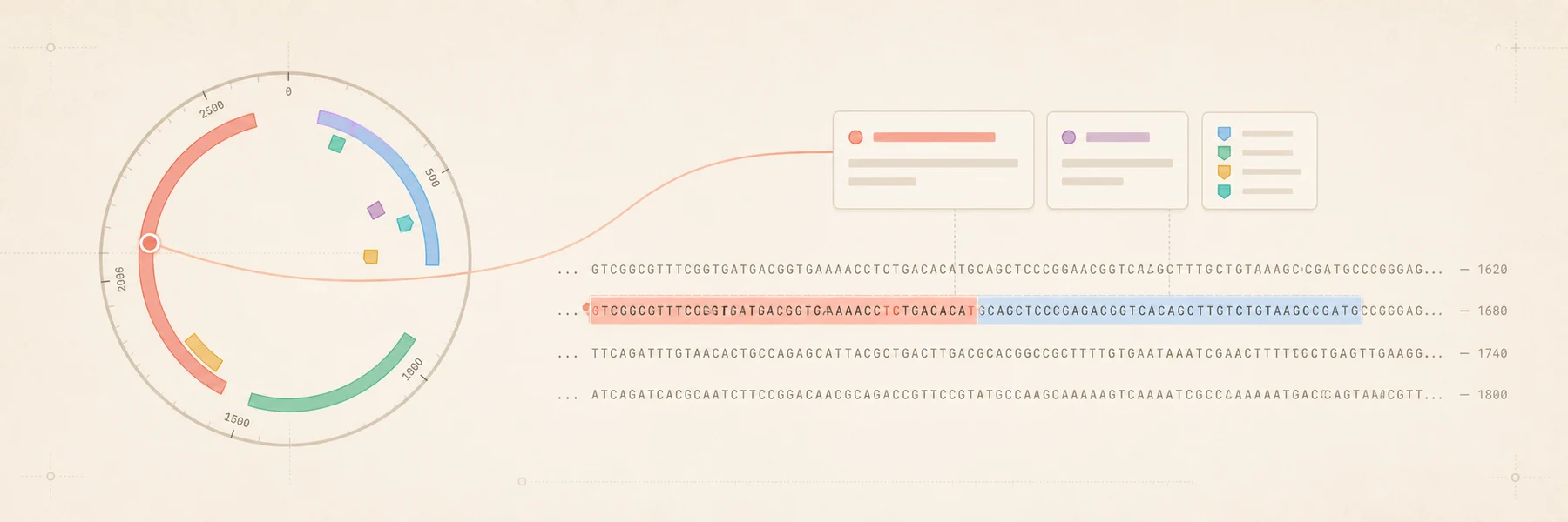 A plasmid map with one feature selected, connected to the exact matching span in the sequence rows.